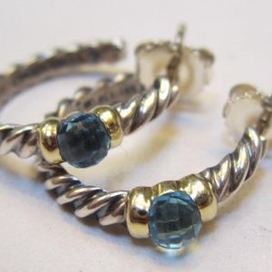 Hampton hoops earrings